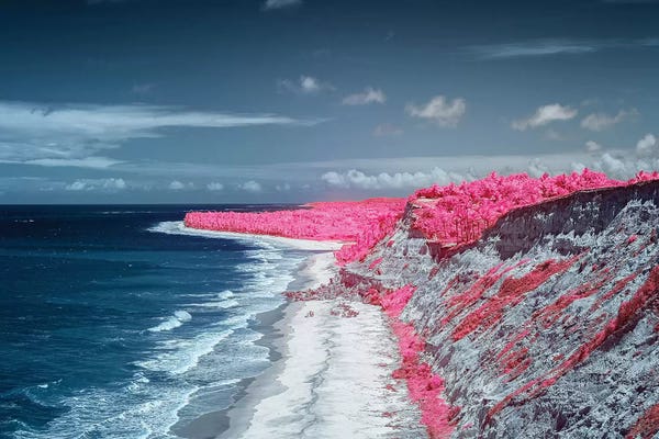 South America: Costal Magenta Beach - Bahia, Brazil by Glauco Meneghelli