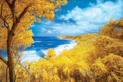 Desert Beach - Bahia, Brazil by Glauco Meneghelli art print