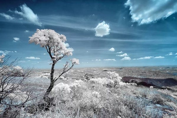 Glauco Meneghelli: Discover - Sao Paulo, Brazil by Glauco Meneghelli