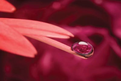 The Droplet by Glauco Meneghelli framed wall art