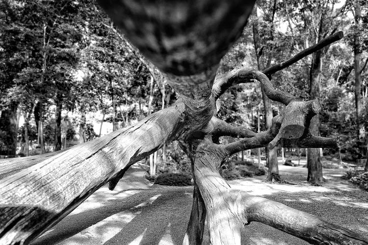 Streetphotography11 by Glauco Meneghelli wall art