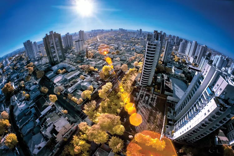 Fisheye - Sao Paulo, Brazil by Glauco Meneghelli wall art