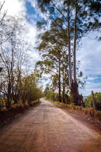 Glauco Meneghelli: Landscape2 by Glauco Meneghelli