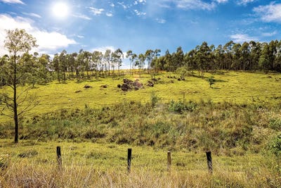 Landscape5 by Glauco Meneghelli framed wall art