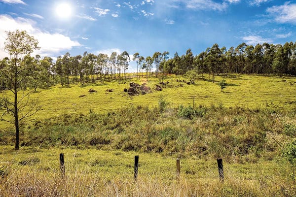 Glauco Meneghelli: Landscape5 by Glauco Meneghelli