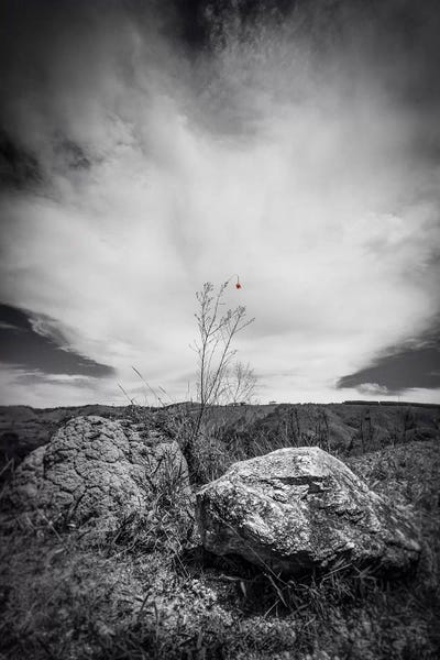 Glauco Meneghelli: Landscape13 by Glauco Meneghelli