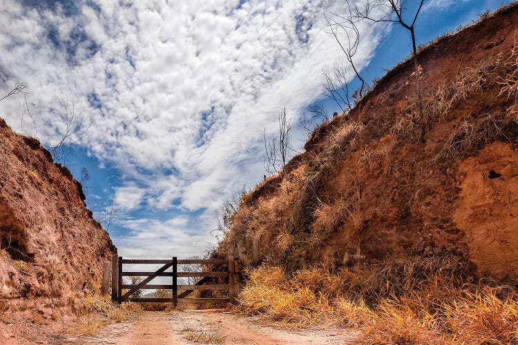 Landscape18 by Glauco Meneghelli wall art