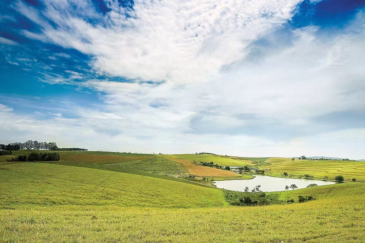 Landscape19 by Glauco Meneghelli wall art