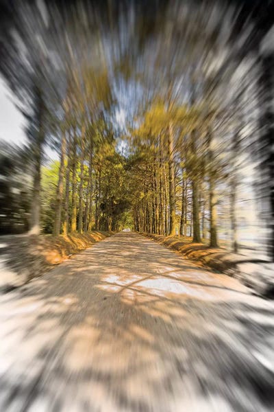 Glauco Meneghelli: Landscape21 by Glauco Meneghelli