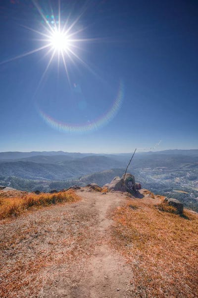 Glauco Meneghelli: Cow III by Glauco Meneghelli