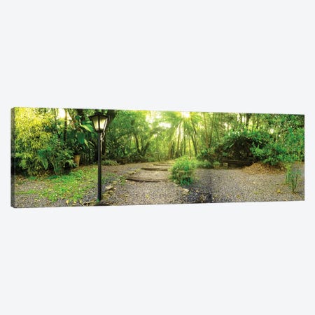 Tropical Forest I Canvas Print #GLM490} by Glauco Meneghelli Canvas Wall Art