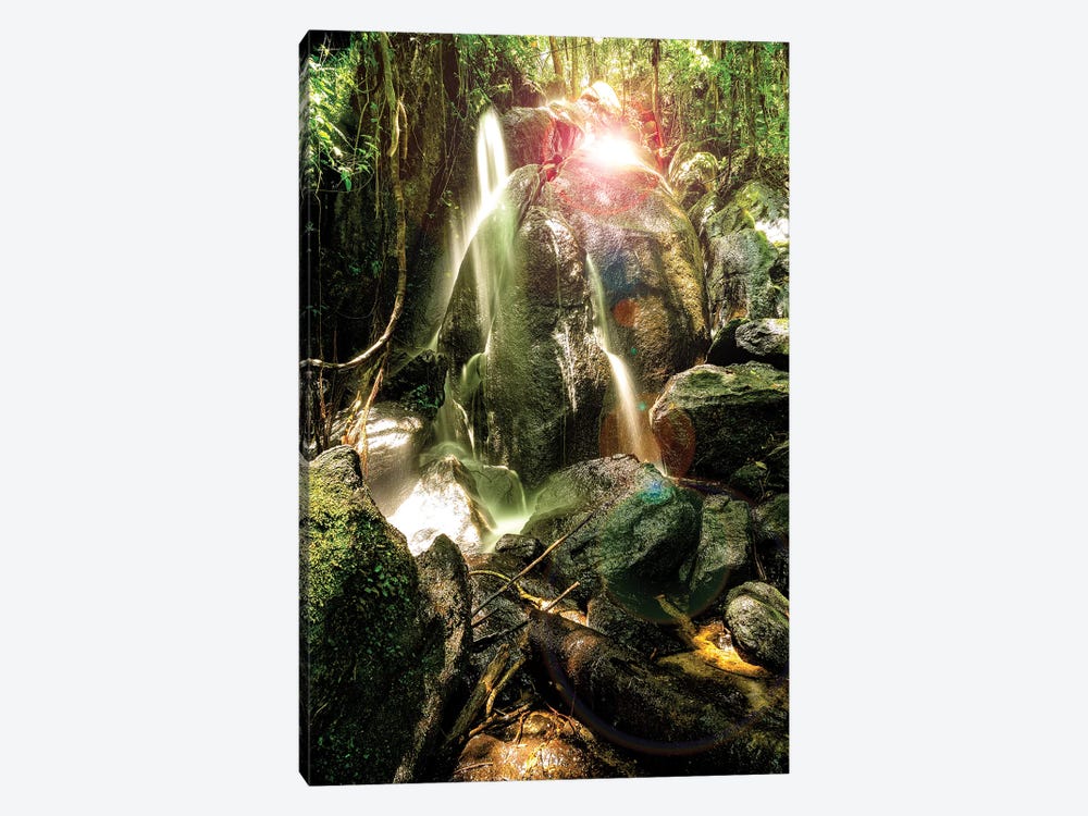 Tropical Forest XVIII by Glauco Meneghelli 1-piece Canvas Wall Art