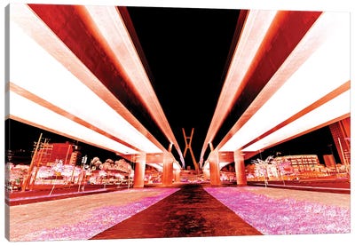 Sao Paulo Bridge I Canvas Art Print - Glauco Meneghelli