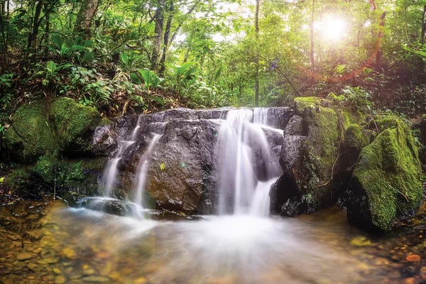 Glauco Meneghelli: Waterfall I by Glauco Meneghelli