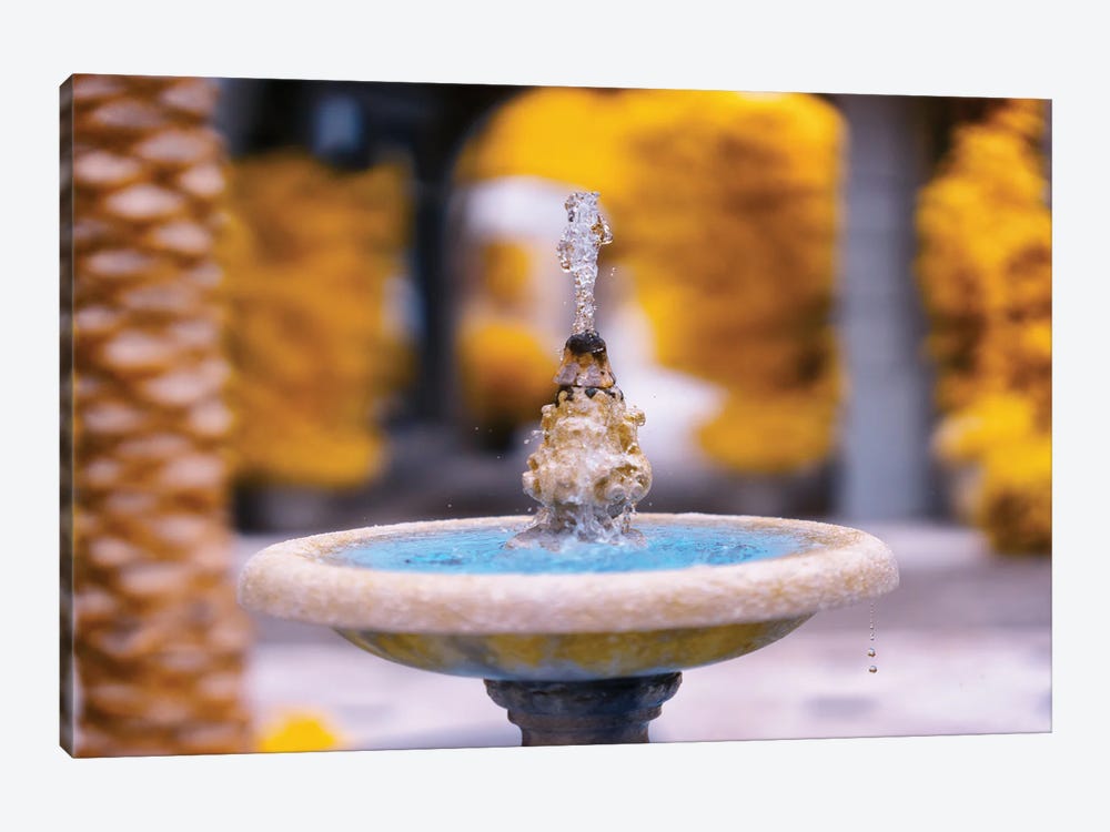 Fountain Infrared Photo by Glauco Meneghelli 1-piece Canvas Art Print