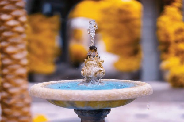 Glauco Meneghelli: Fountain Infrared Photo by Glauco Meneghelli