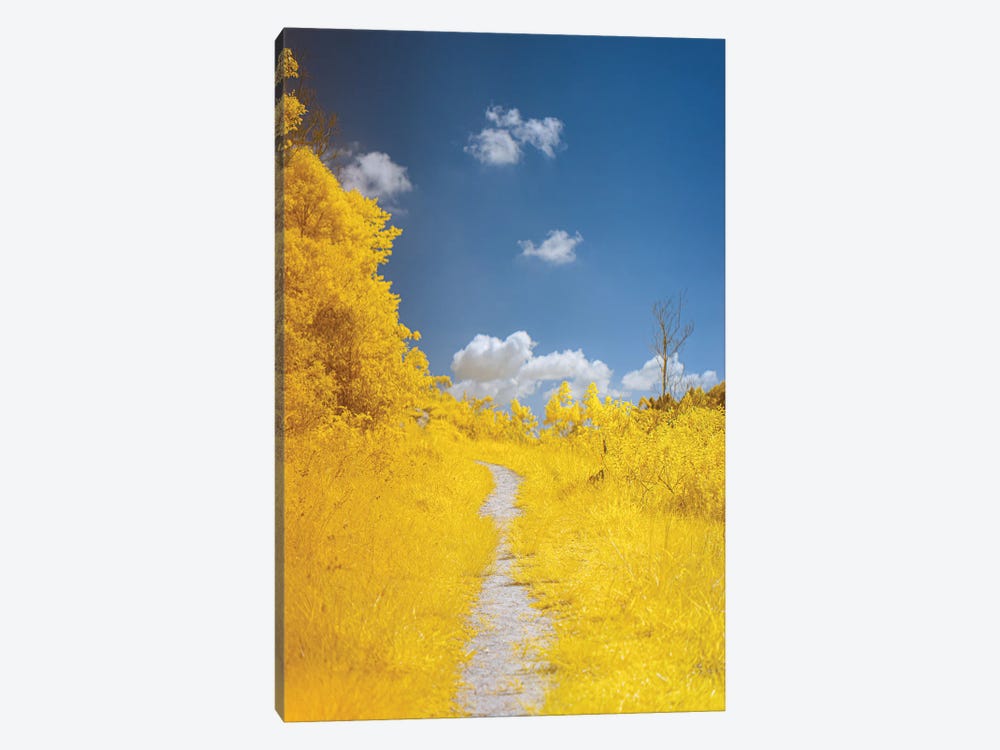 The Path by Glauco Meneghelli 1-piece Canvas Art