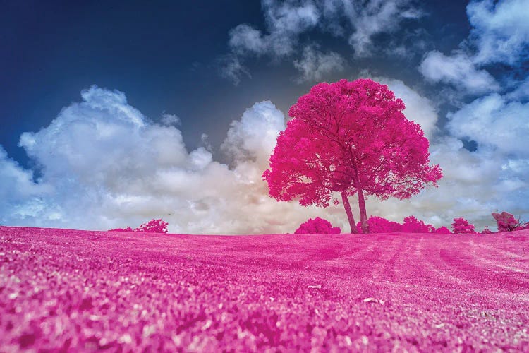 Pink Tree Art Print by Glauco Meneghelli | iCanvas