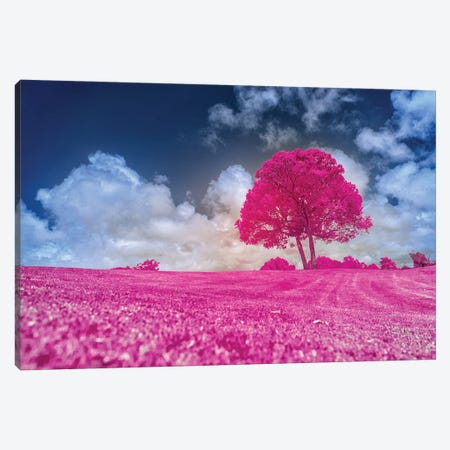 Pink Tree Canvas Print #GLM575} by Glauco Meneghelli Canvas Artwork