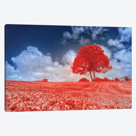 Red Tree Canvas Print #GLM576} by Glauco Meneghelli Canvas Art
