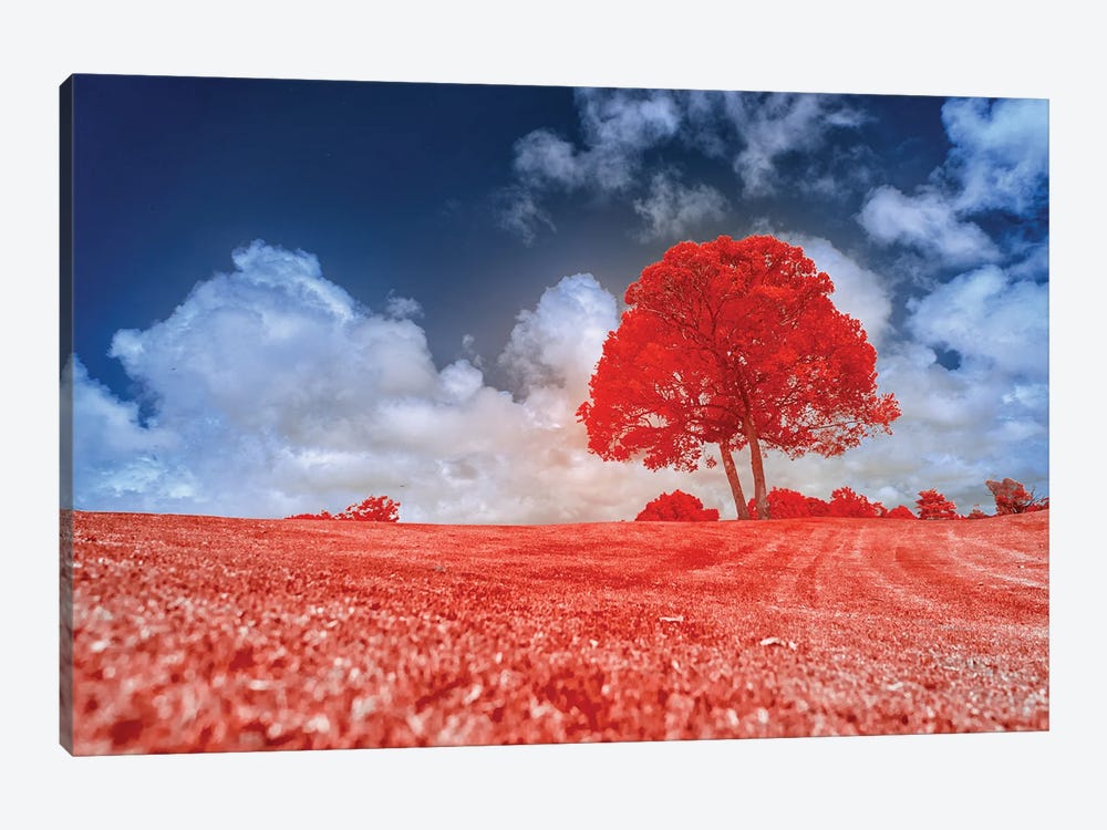 Red Tree by Glauco Meneghelli 1-piece Canvas Art