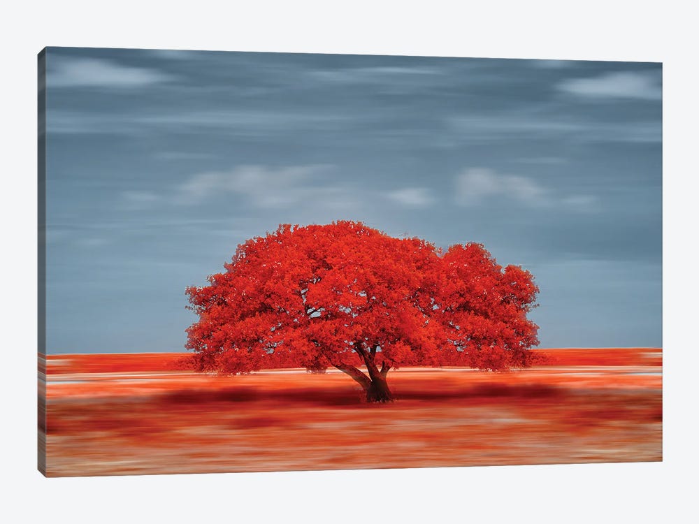 lonely red tree on the field by Glauco Meneghelli 1-piece Art Print