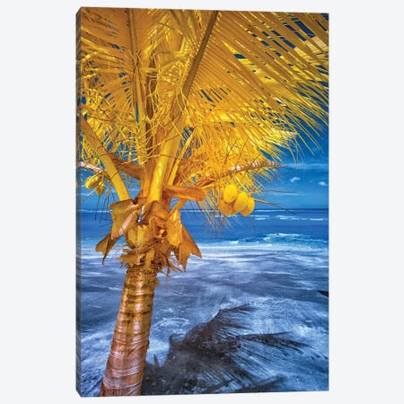 The Lizard on tropical palm tree #1 Canvas Print #GLM581} by Glauco Meneghelli Canvas Artwork