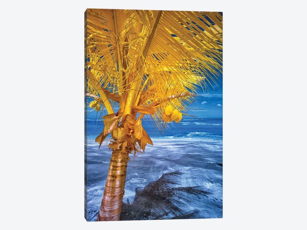 The Lizard on tropical palm tree #1 by Glauco Meneghelli 1-piece Canvas Artwork