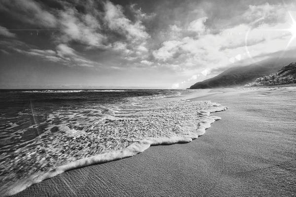 Glauco Meneghelli: Sympathy Of Existence Black & White by Glauco Meneghelli