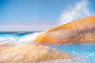 Lush Grove by Glauco Meneghelli art print