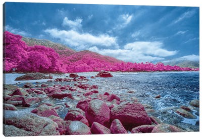 The Harmony Beach Canvas Art Print - Color Pop Photography