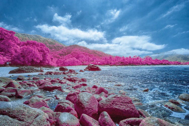 The Harmony Beach