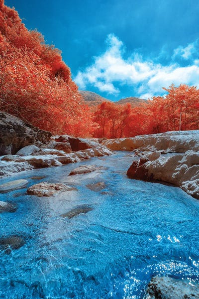 Color Pop Photography: Auspicious Success by Glauco Meneghelli