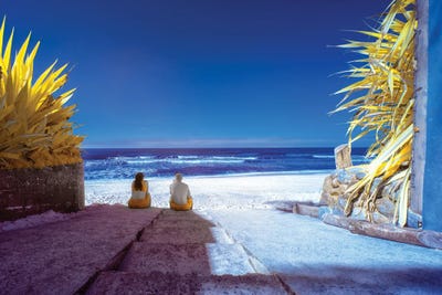 Stafnet Grove - Color Version by Glauco Meneghelli art print