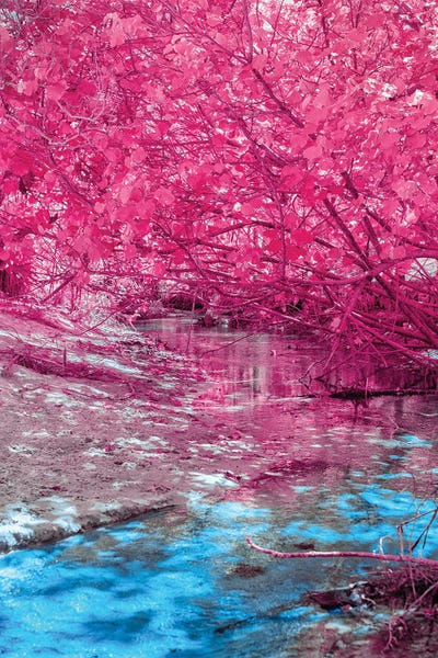 Glauco Meneghelli: Ganpool Wilds by Glauco Meneghelli