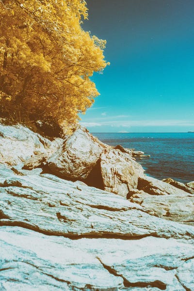 Scandalous Beach by Glauco Meneghelli art print