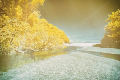 Canvas Beach by Glauco Meneghelli art print