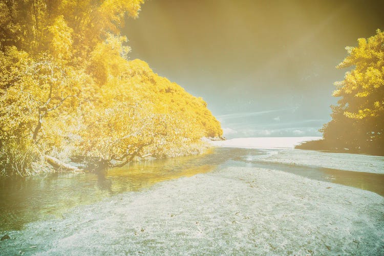 Canvas Beach