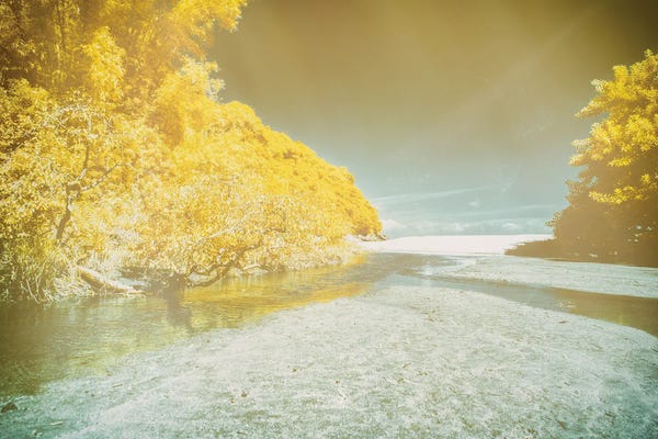 Glauco Meneghelli: Canvas Beach by Glauco Meneghelli