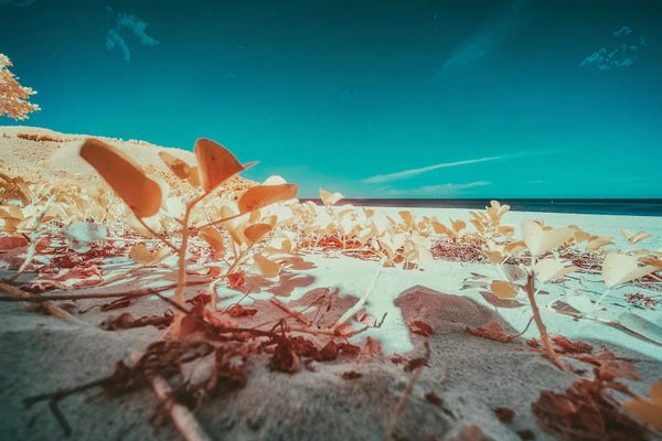 Glauco Meneghelli: Exultant Impact by Glauco Meneghelli