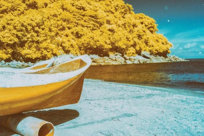 Redundant Lesson by Glauco Meneghelli art print