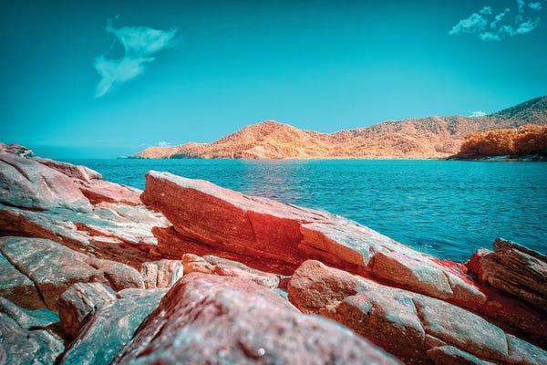 Glauco Meneghelli: Enchanting Spoils by Glauco Meneghelli