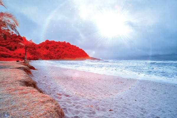 Glauco Meneghelli: Overdue Answer by Glauco Meneghelli