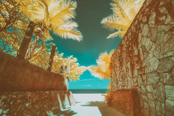 Glauco Meneghelli: Business Of Fire by Glauco Meneghelli