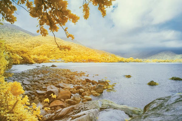 Glauco Meneghelli: Disguised Riddles by Glauco Meneghelli