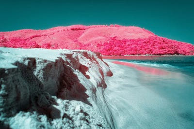 Loyalty Of Empathy by Glauco Meneghelli art print