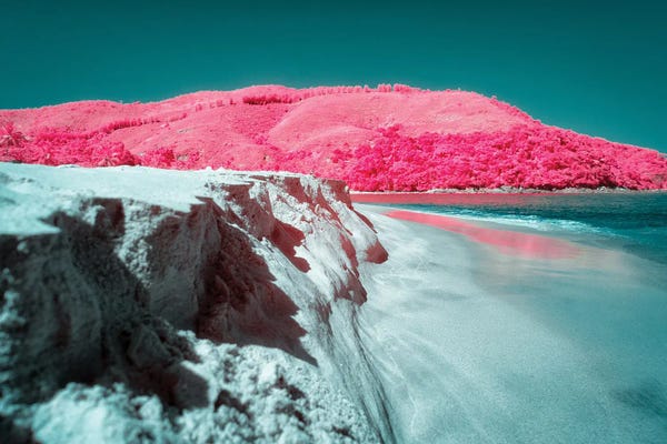 Glauco Meneghelli: Loyalty Of Empathy by Glauco Meneghelli