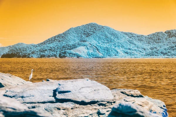 Glauco Meneghelli: Punctual Opinion by Glauco Meneghelli