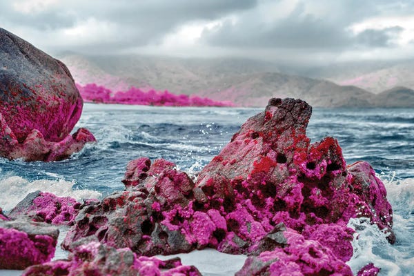 Color Pop Photography: Holistique by Glauco Meneghelli