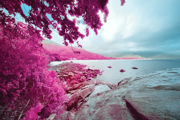 Glauco Meneghelli: Lost by Glauco Meneghelli